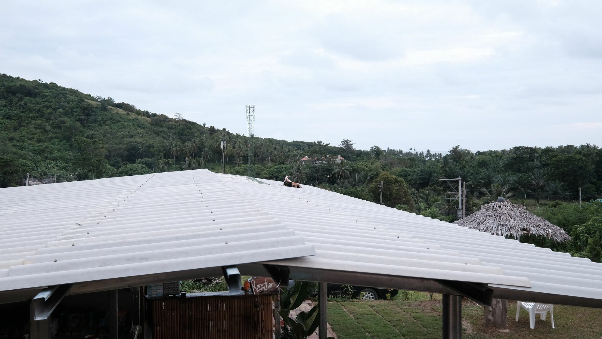 Cat Bungalow Koh Lanta Exterior photo